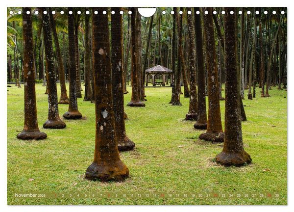 Produktbild: La R&eacute;union - Impressionen von Rolf Dietz (Wandkalender 2026 DIN A4 quer), CALVENDO Monatskalender