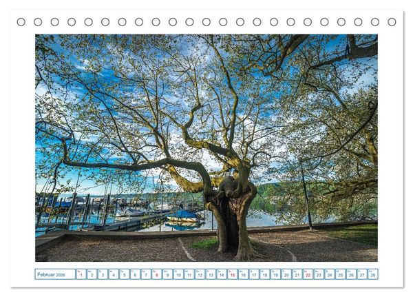 Produktbild: Ludwigshafen am Bodensee (Tischkalender 2026 DIN A5 quer), CALVENDO Monatskalender