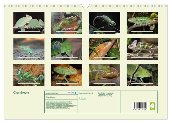 Produktbild: Cham&auml;leons (Wandkalender 2026 DIN A3 quer), CALVENDO Monatskalender