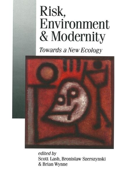 Produktbild: Risk, Environment and Modernity