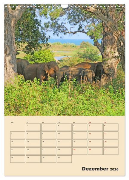 Produktbild: Sri Lanka - Terminplaner (Wandkalender 2026 DIN A3 hoch), CALVENDO Monatskalender