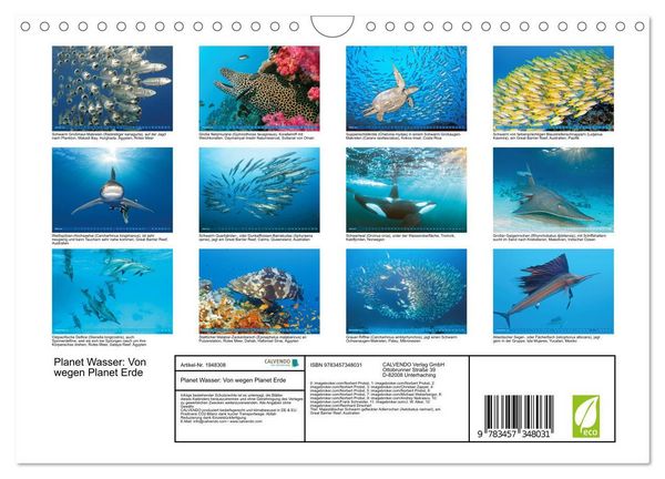Produktbild: Planet Wasser: Von wegen Planet Erde (Wandkalender 2026 DIN A4 quer), CALVENDO Monatskalender