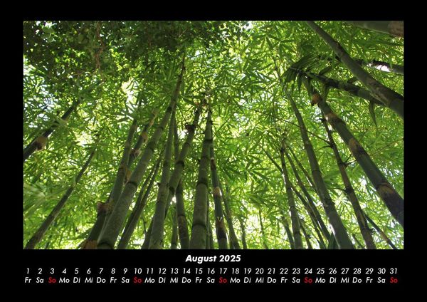 Produktbild: Waldzauber 2025 Fotokalender DIN A3