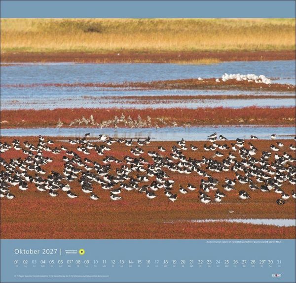 Produktbild: Nationalpark Wattenmeer Edition Kalender 2027 - Martin Stock