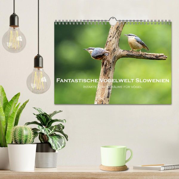 Produktbild: Fantastische Vogelwelt Slowenien (Wandkalender 2026 DIN A4 quer), CALVENDO Monatskalender