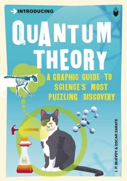 Produktbild: Introducing Quantum Theory