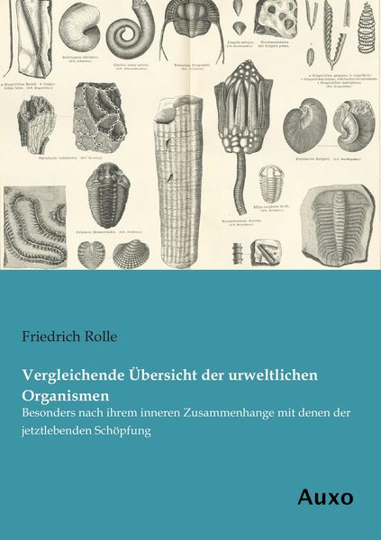 Produktbild: Vergleichende &Uuml;bersicht der urweltlichen Organismen