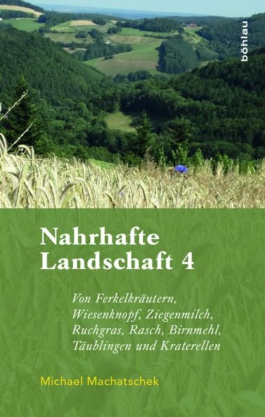 Nahrhafte Landschaft 4