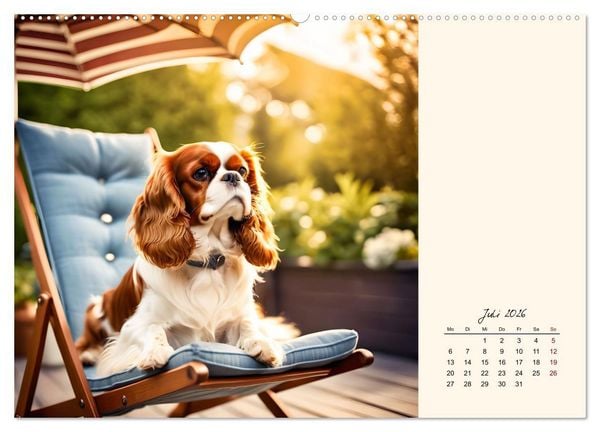 Produktbild: Goldige Kavalier King Charles Spaniels (hochwertiger Premium Wandkalender 2026 DIN A2 quer), Kunstdruck in Hochglanz