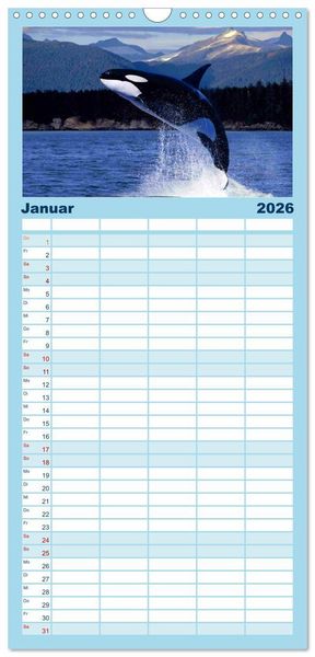 Produktbild: Familienplaner 2026 - Delfine und Wale mit 5 Spalten (Wandkalender, 21 x 45 cm) CALVENDO