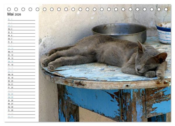 Produktbild: Katzensprung (Tischkalender 2026 DIN A5 quer), CALVENDO Monatskalender