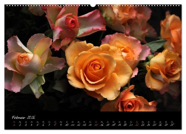 Produktbild: Soul-Jazz - Visuelle Musik der Blumen (Wandkalender 2026 DIN A2 quer), CALVENDO Monatskalender