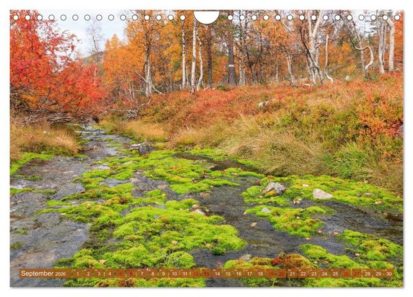 Produktbild: Finnisch Lappland (Wandkalender 2026 DIN A4 quer), CALVENDO Monatskalender