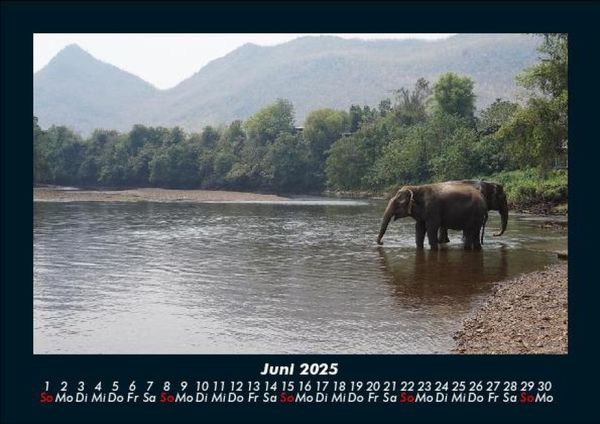 Produktbild: Der Elefantenkalender 2025 Fotokalender DIN A5