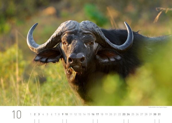 Produktbild: Namibia Exklusivkalender 2027