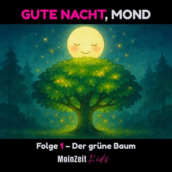 Gute Nacht, Mond - Silke Poelmann, Audio, 4070169835856