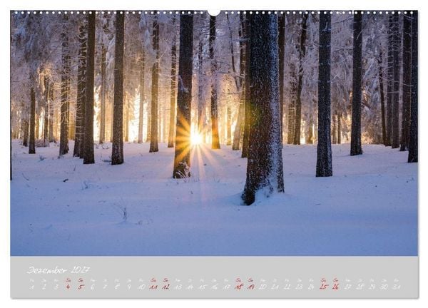 Produktbild: Th&uuml;ringer Wald Das Gr&uuml;ne Herz Deutschlands (hochwertiger Premium Wandkalender 2027 DIN A2 quer), Kunstdruck in Hochglanz