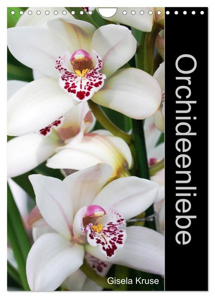 Orchideenliebe (Wandkalender 2026 DIN A4 hoch), CALVENDO Monatskalender