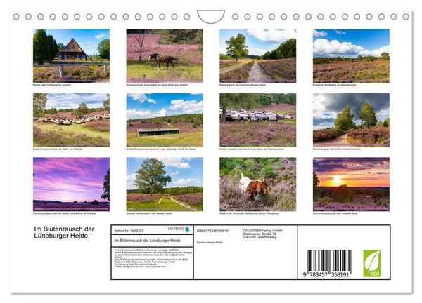 Produktbild: Im Bl&uuml;tenrausch der L&uuml;neburger Heide (Wandkalender 2026 DIN A4 quer), CALVENDO Monatskalender