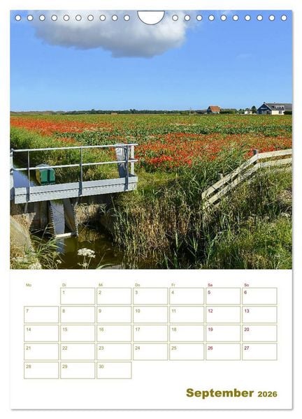 Produktbild: Texel - Momente die verzaubern (Wandkalender 2026 DIN A4 hoch), CALVENDO Monatskalender
