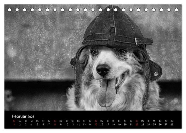 Produktbild: H&uuml;tehunde (Tischkalender 2026 DIN A5 quer), CALVENDO Monatskalender