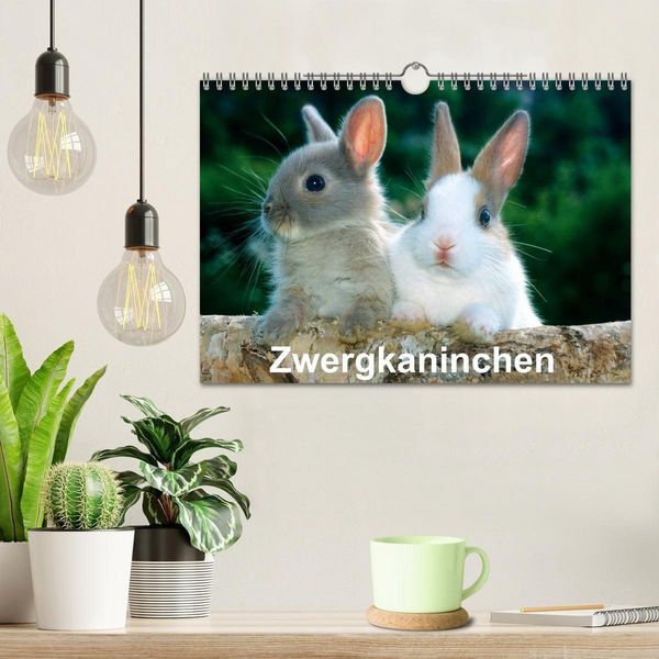 Produktbild: Zwergkaninchen (Wandkalender 2027 DIN A4 quer), CALVENDO Monatskalender
