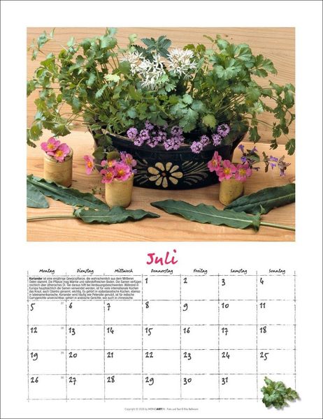 Produktbild: Augenschmaus Kalender 2027 - Gew&uuml;rze und Kr&auml;uter rund ums Jahr