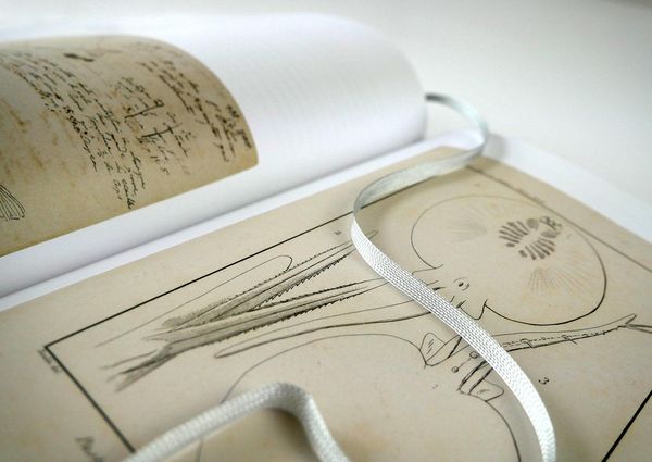 Produktbild: Alexander von Humboldt - Bilder-Welten
