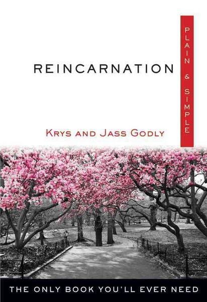 Produktbild: Reincarnation Plain & Simple