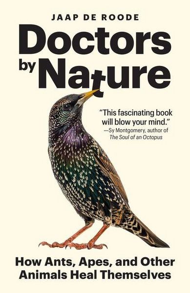 Produktbild: Doctors by Nature