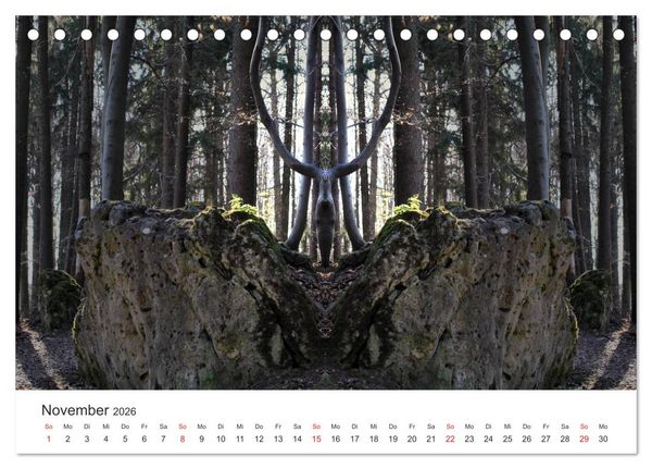 Produktbild: Spiegelwelten - Natur anders sehen (Tischkalender 2026 DIN A5 quer), CALVENDO Monatskalender