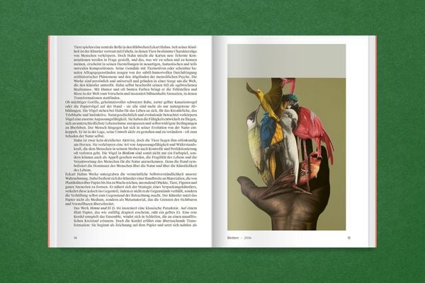 Produktbild: Eckart Hahn: Papiertiger