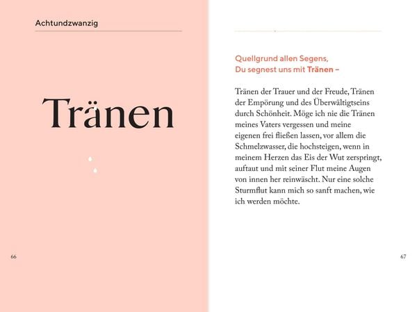 Produktbild: Die Kraft des Staunens