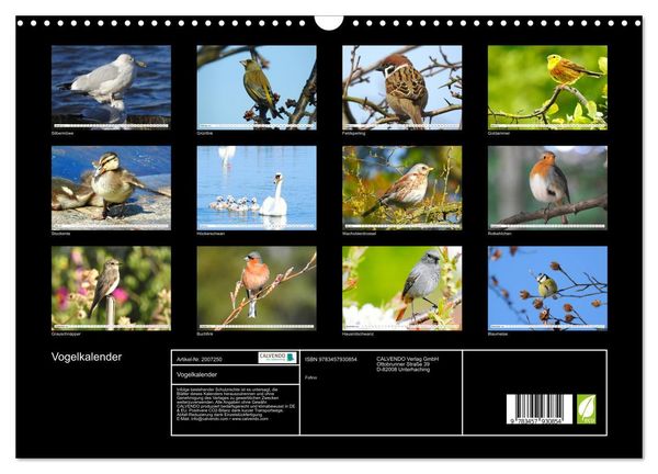 Produktbild: Vogelkalender (Wandkalender 2026 DIN A3 quer), CALVENDO Monatskalender