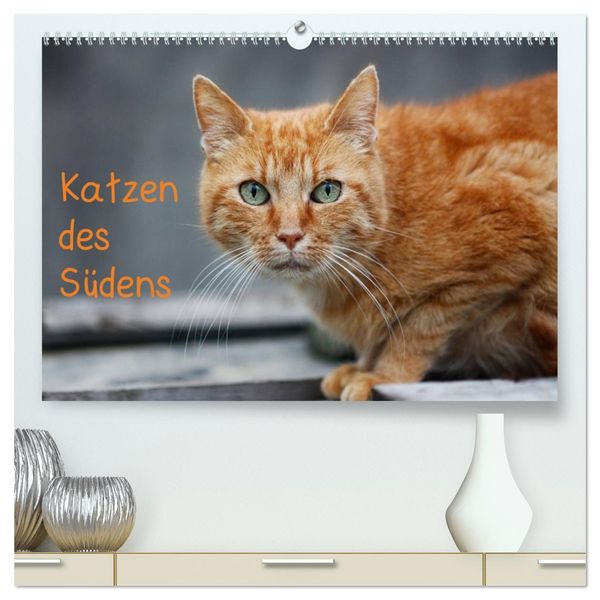 Produktbild: Katzen des S&uuml;dens (hochwertiger Premium Wandkalender 2026 DIN A2 quer), Kunstdruck in Hochglanz