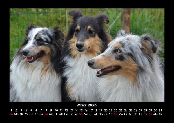 Produktbild: Hundezauber 2026 Fotokalender DIN A3
