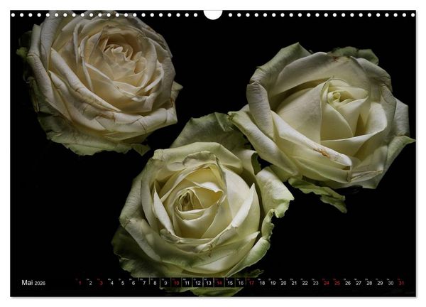 Produktbild: Flowers / 2026 (Wandkalender 2026 DIN A3 quer), CALVENDO Monatskalender
