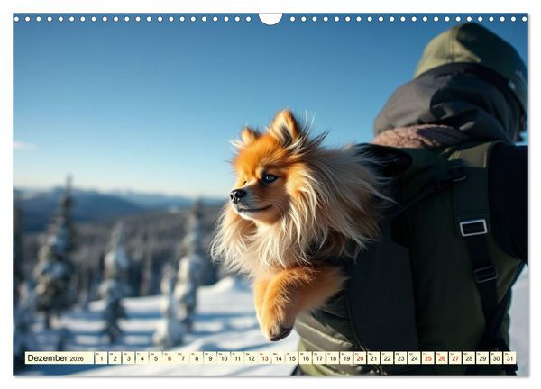Produktbild: Tausendsassa - Pomeranian (Wandkalender 2026 DIN A3 quer), CALVENDO Monatskalender
