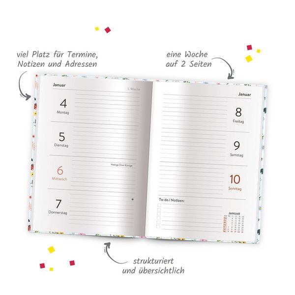 Produktbild: TR&Ouml;TSCH - Taschenkalender A6 Marienk&auml;fer 2027