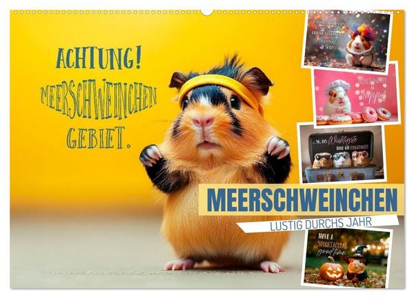 Meerschweinchen LUSTIG DURCHS JAHR (Wandkalender 2026 DIN A2 quer), CALVENDO Monatskalender