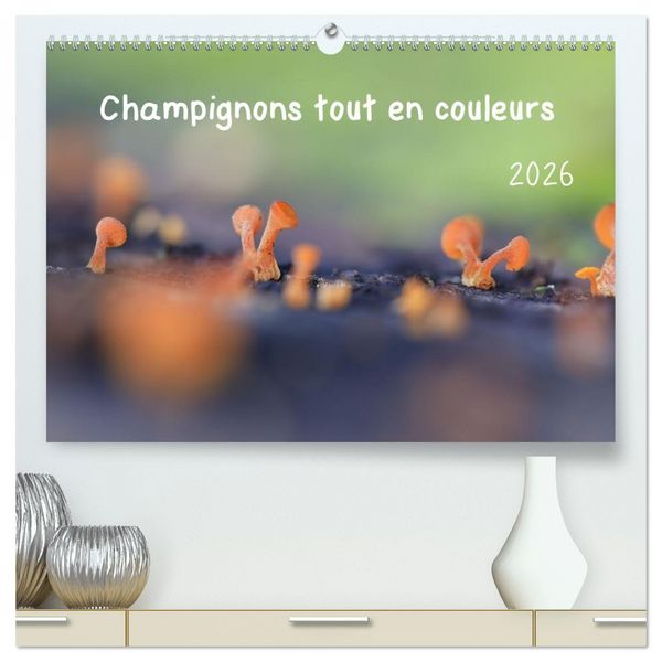 Produktbild: Champignons tout en couleurs (Calendrier mural 2026 DIN A2 vertical) calendrier de bureau