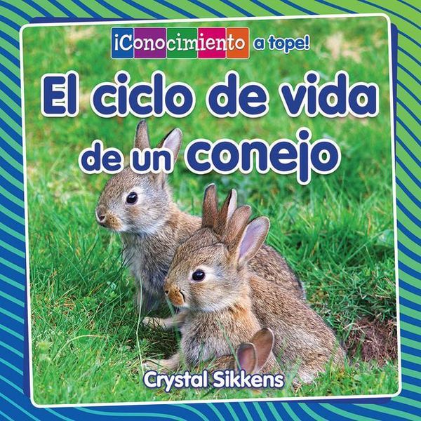 Produktbild: El Ciclo de Vida de Un Conejo (the Life Cycle of a Rabbit)