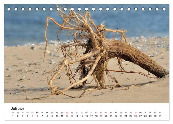 Produktbild: Insel R&uuml;gen Impressionen (Tischkalender 2026 DIN A5 quer), CALVENDO Monatskalender