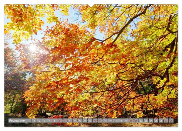 Produktbild: Herbst. Die letzten Farben des Jahres (Wandkalender 2027 DIN A2 quer), CALVENDO Monatskalender
