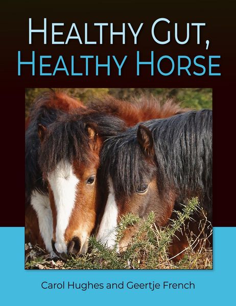 Produktbild: Healthy Gut, Healthy Horse