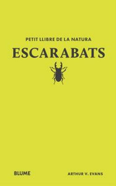 Produktbild: Escarabats