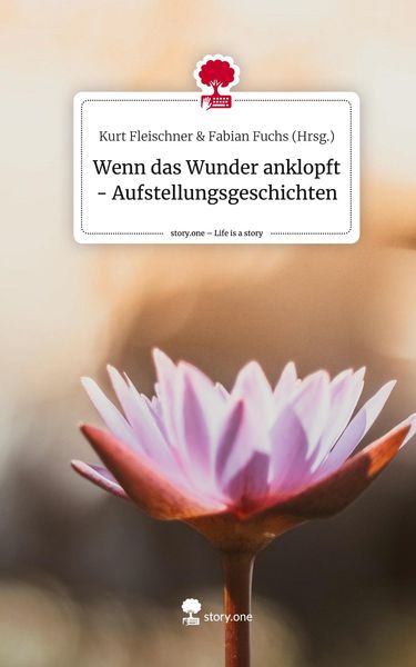 Produktbild: Wenn das Wunder anklopft - Aufstellungsgeschichten. Life is a Story - story.one