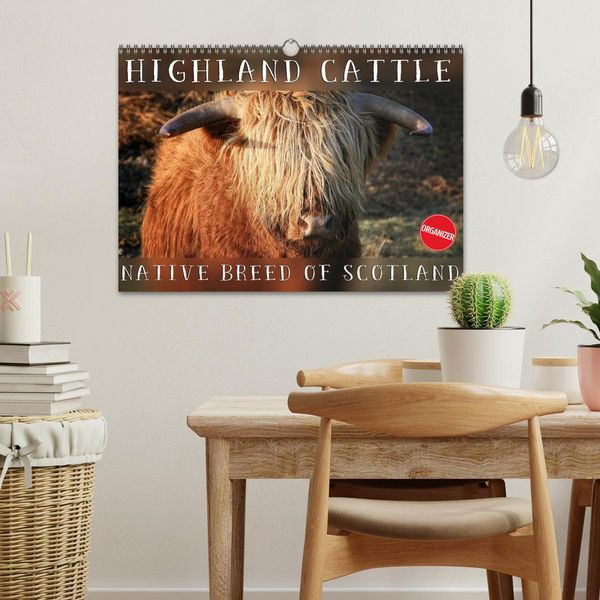 Produktbild: Highland Cattle - Native Breed of Scotland (Wall Calendar 2026 DIN A3 landscape), CALVENDO 12 Month Wall Calendar