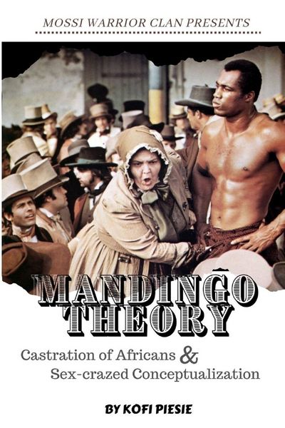 Produktbild: Mandingo Theory
