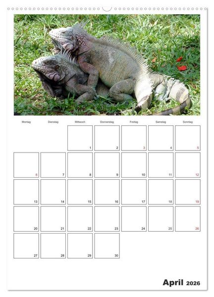 Produktbild: Venezuela - Land der Kontraste (hochwertiger Premium Wandkalender 2026 DIN A2 hoch), Kunstdruck in Hochglanz